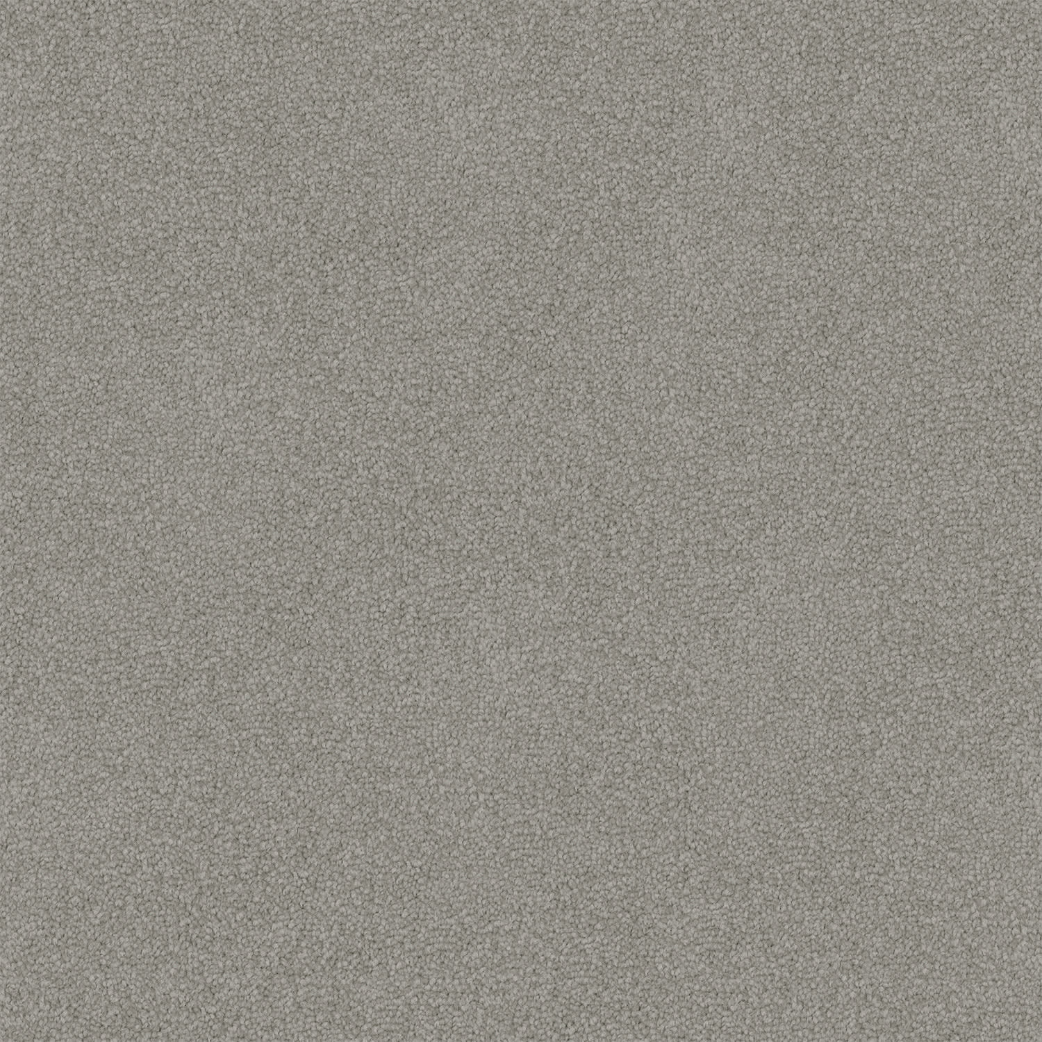 Infatuation carpet in Dugong