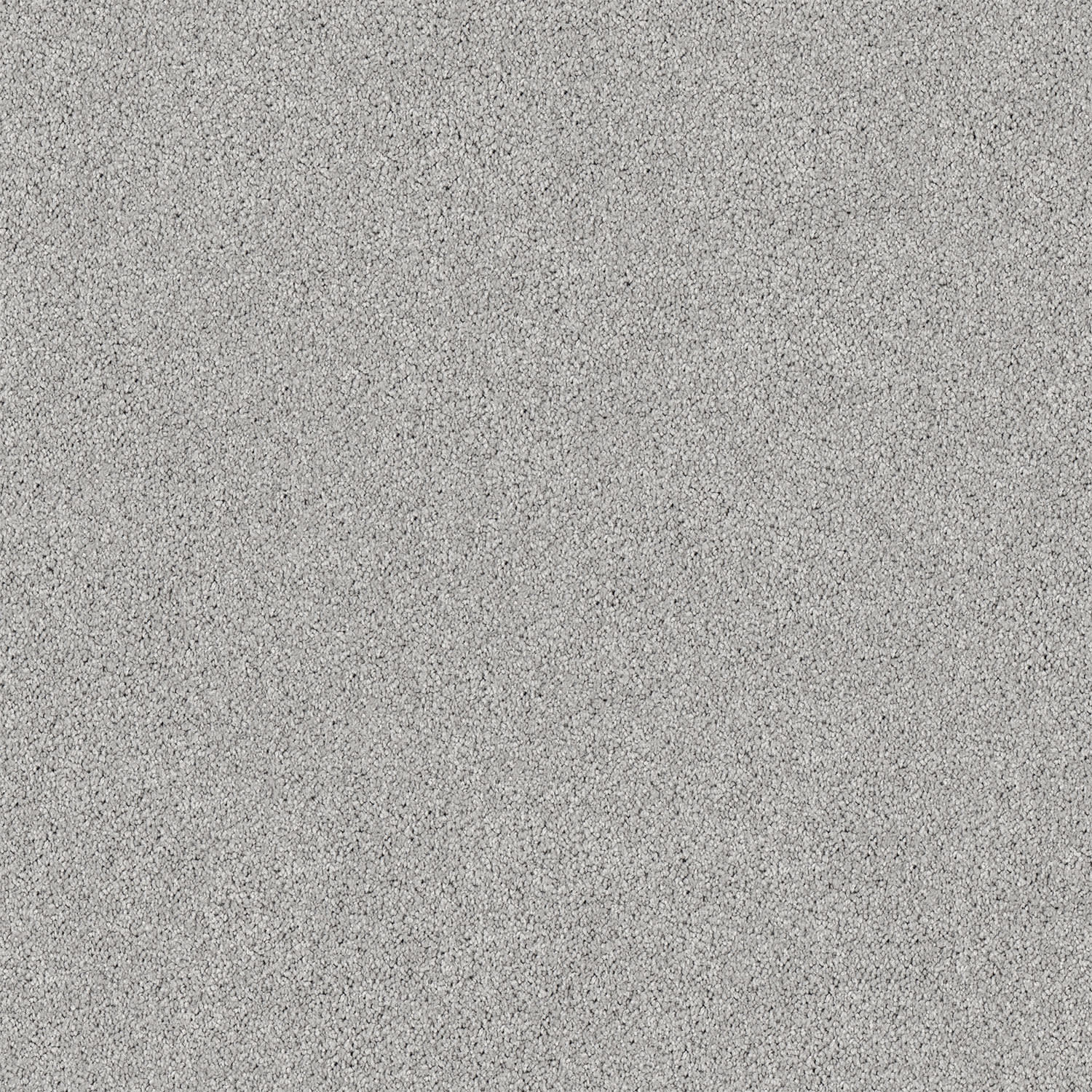 Gentle Essence carpet in Whisper Grey