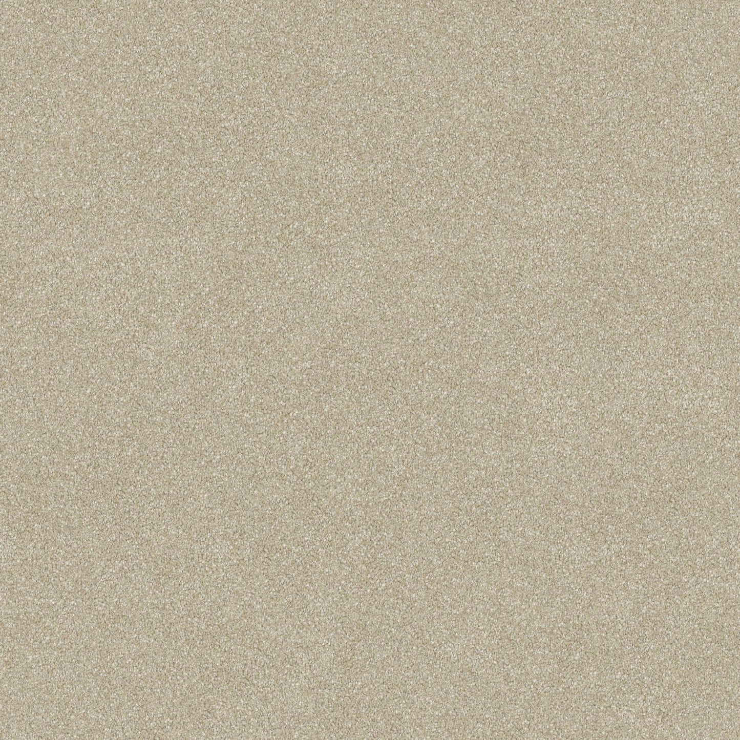 Wild River carpet in Tan Stipple