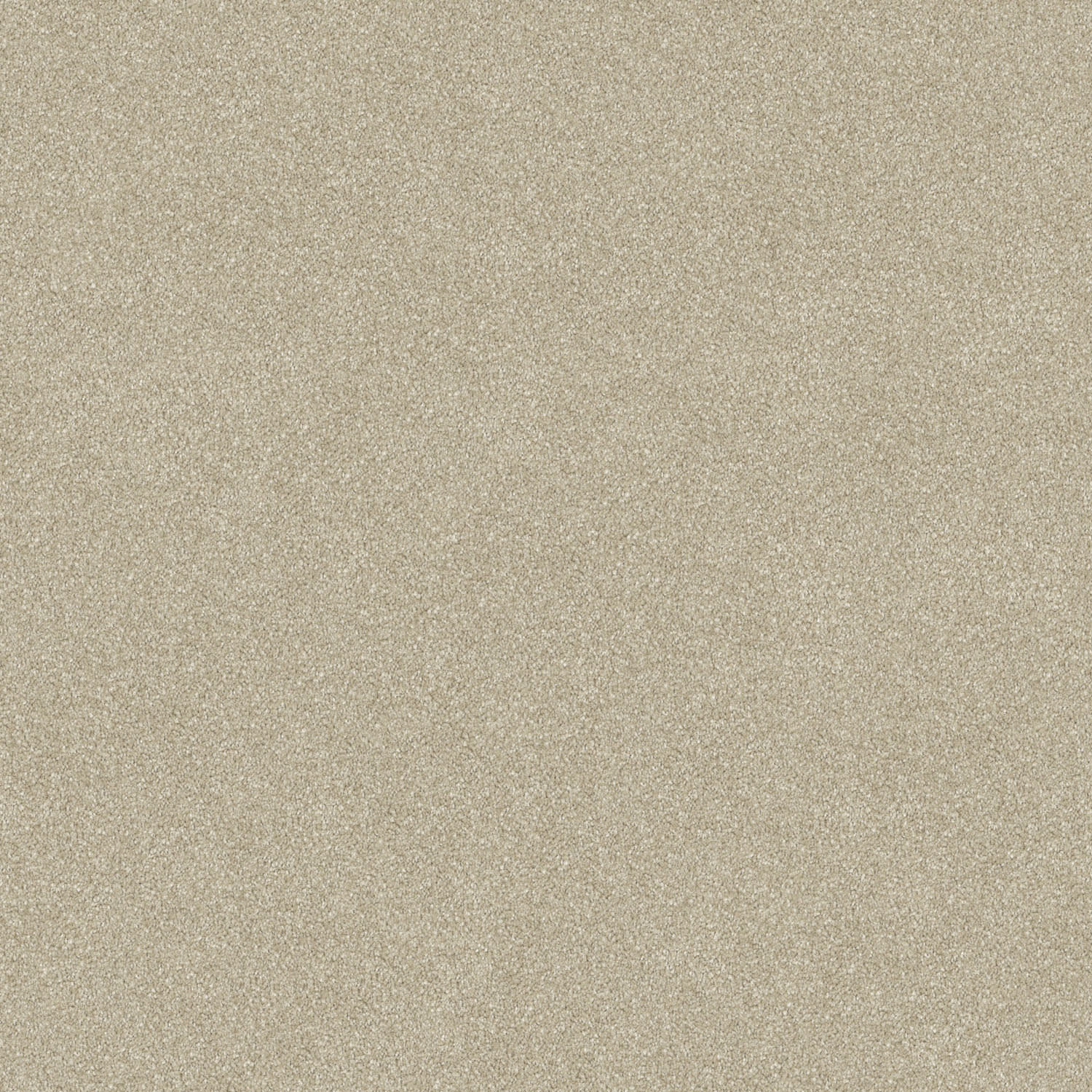 Wild River carpet in Tan Stipple