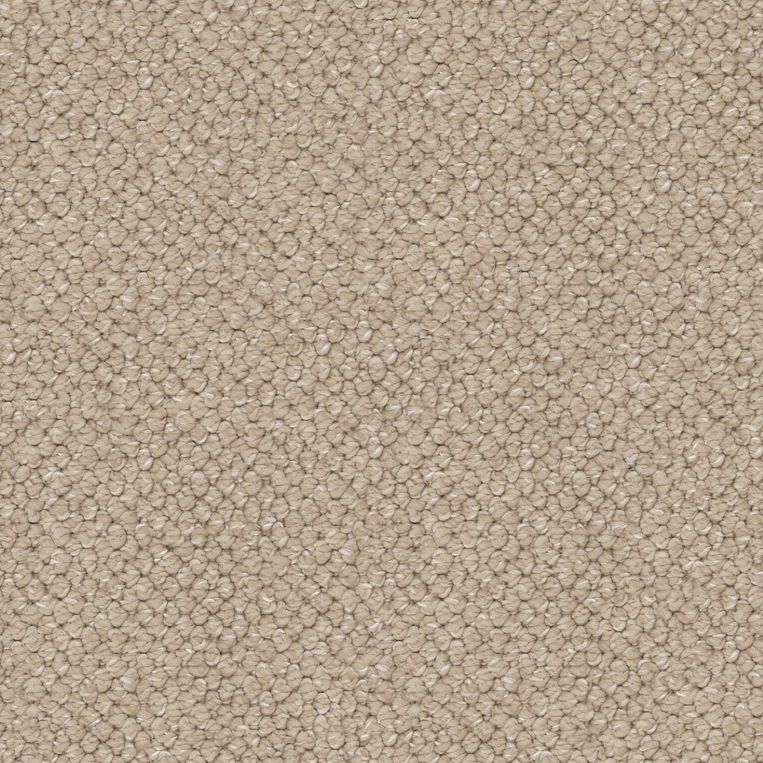 Finesse carpet in Balance