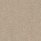 Finesse carpet in Balance