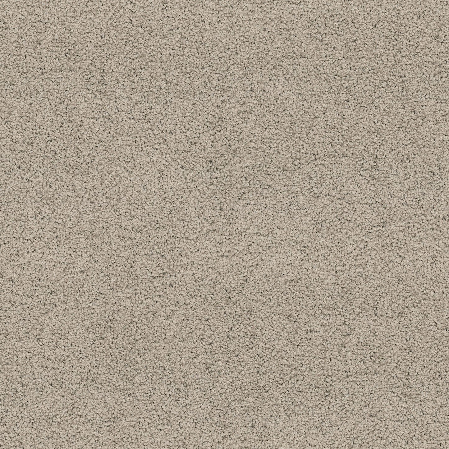 Hepburn carpet in Deer