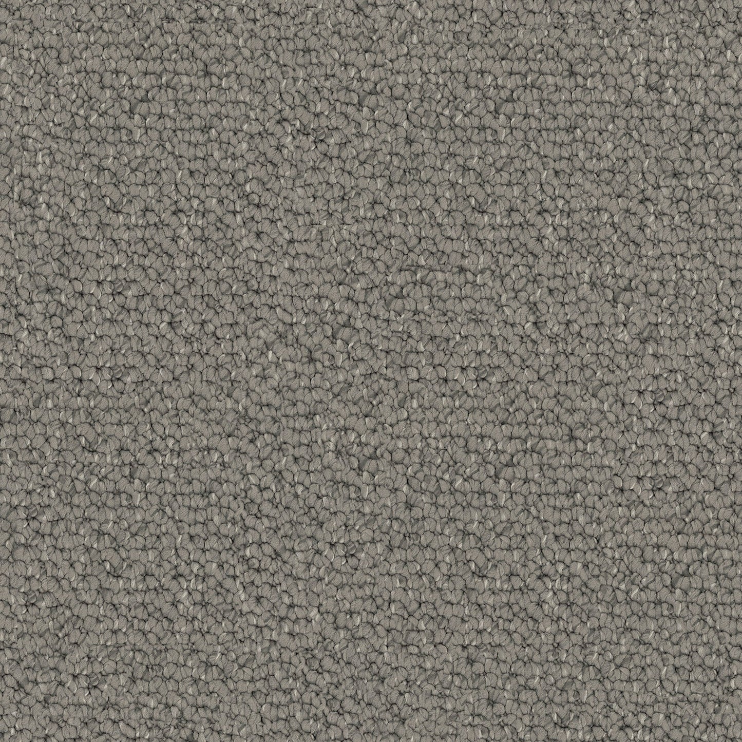 Carpathian carpet in Forest