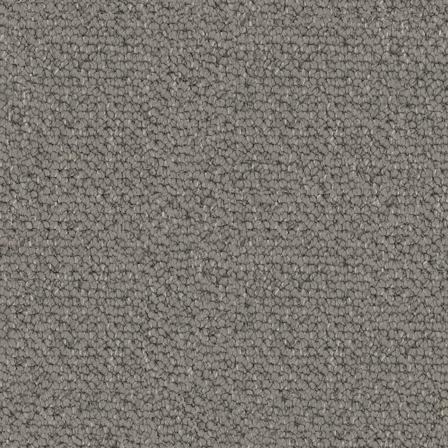 Carpathian carpet in Forest