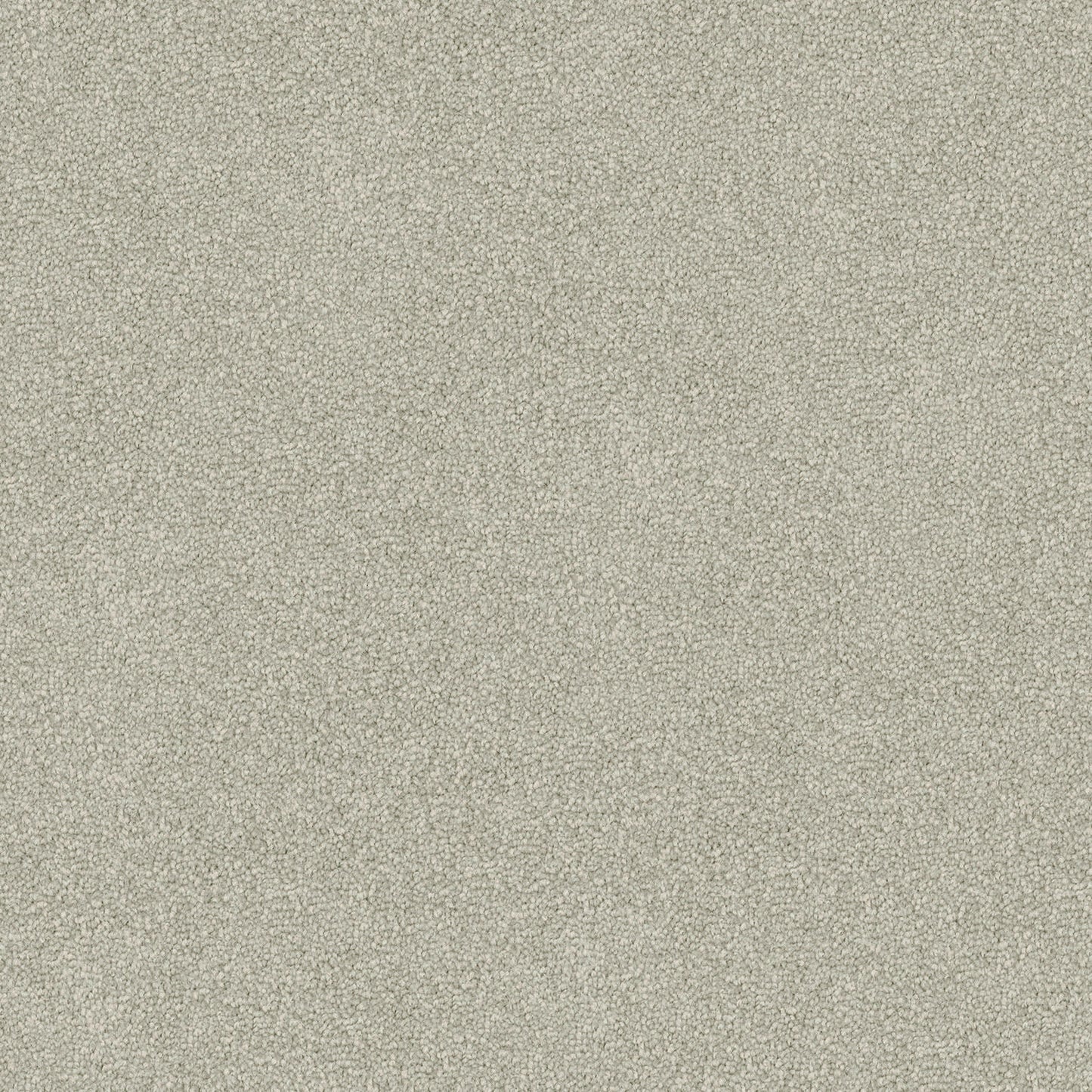 Freedom carpet in Quartz