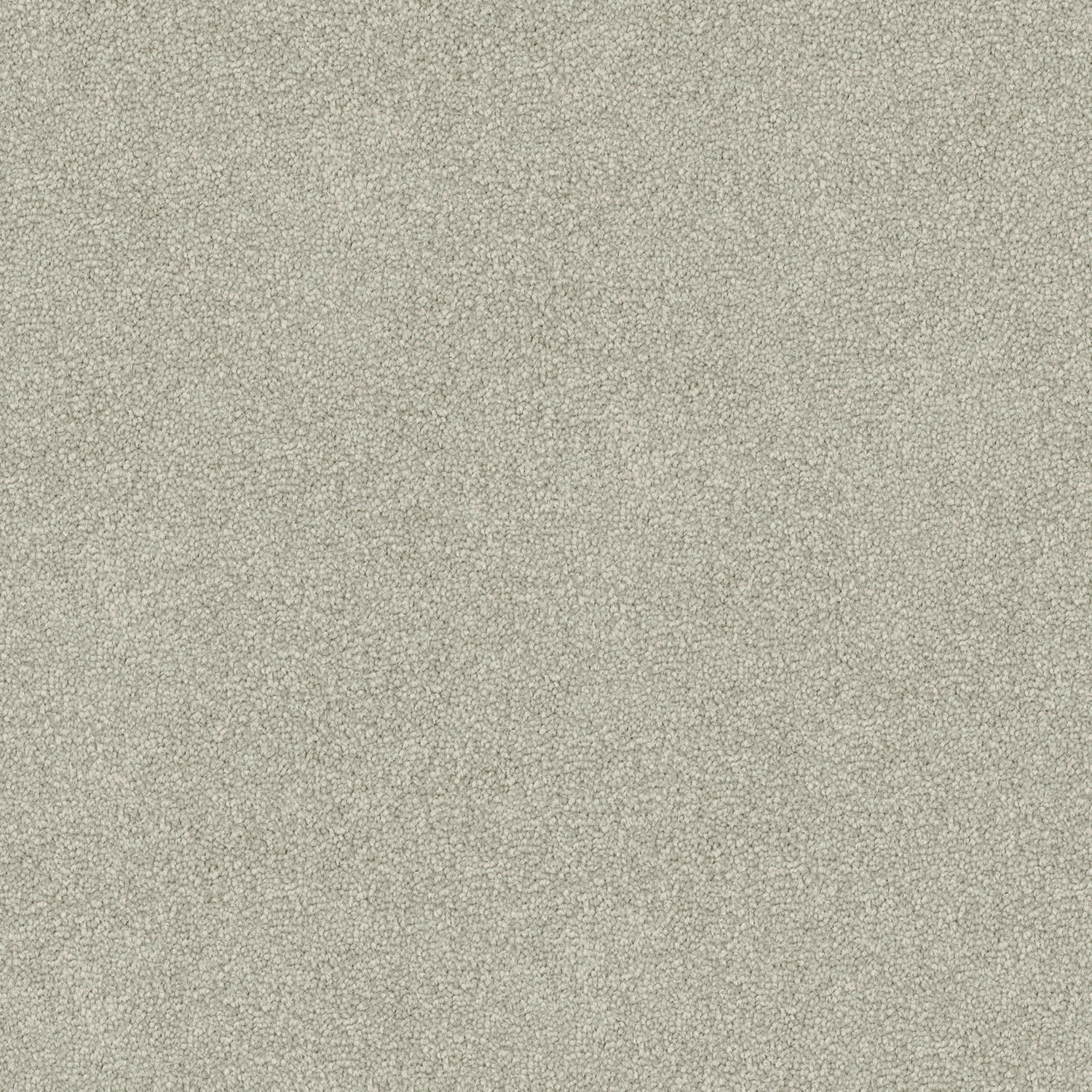 Freedom carpet in Quartz