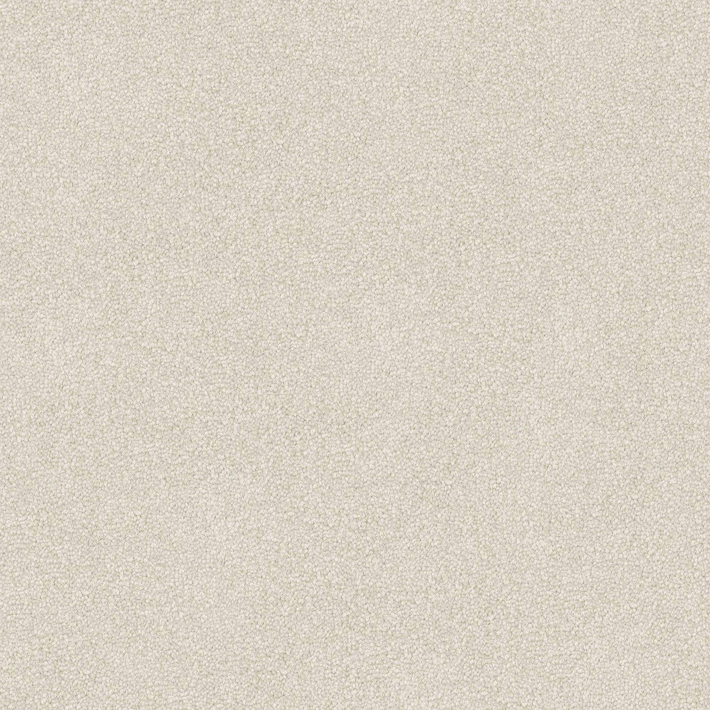 Infatuation carpet in Grey Dawn