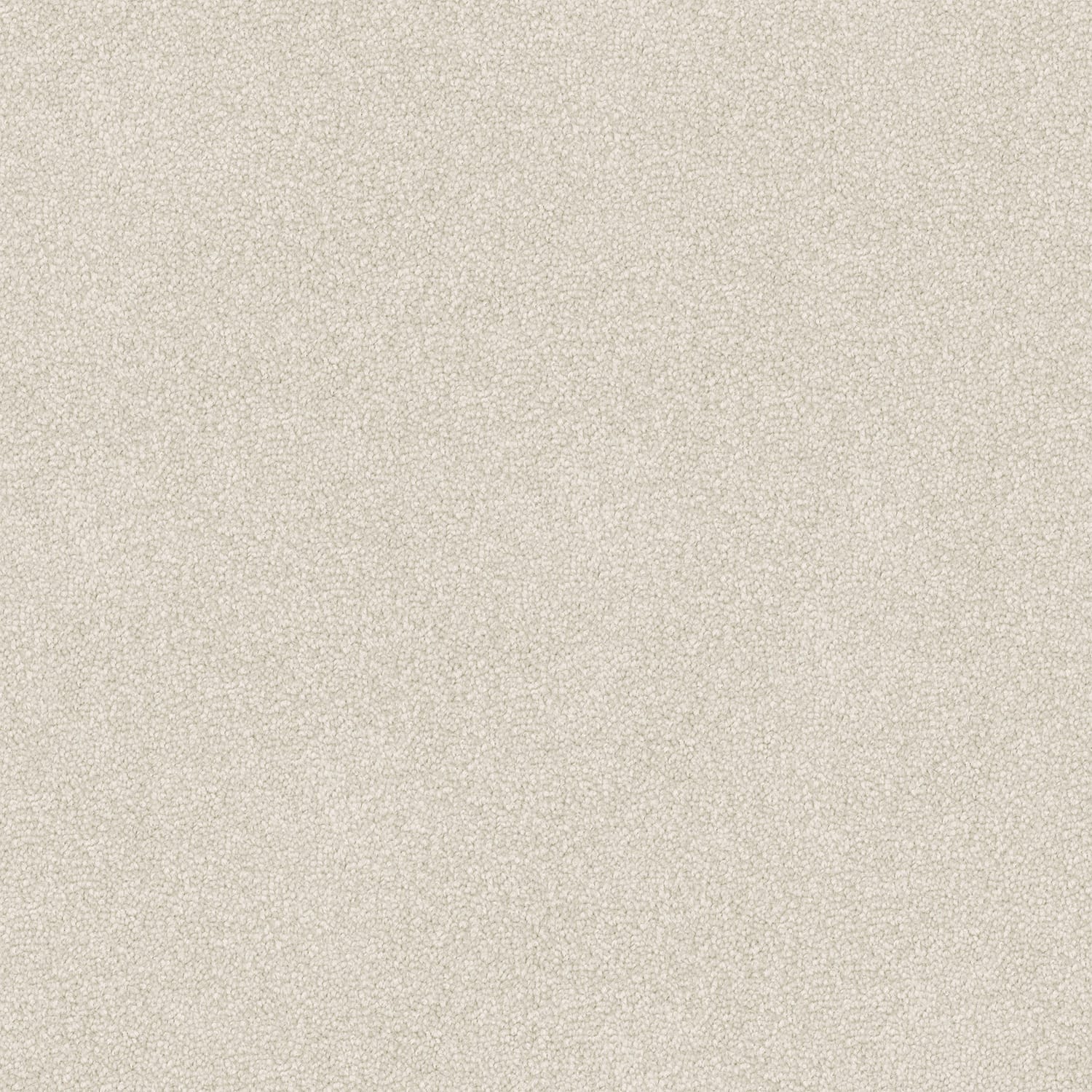 Infatuation carpet in Grey Dawn