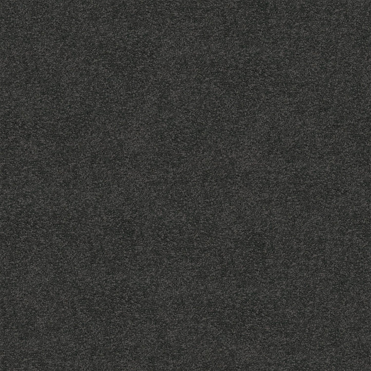 Riverina carpet in Warm Grey