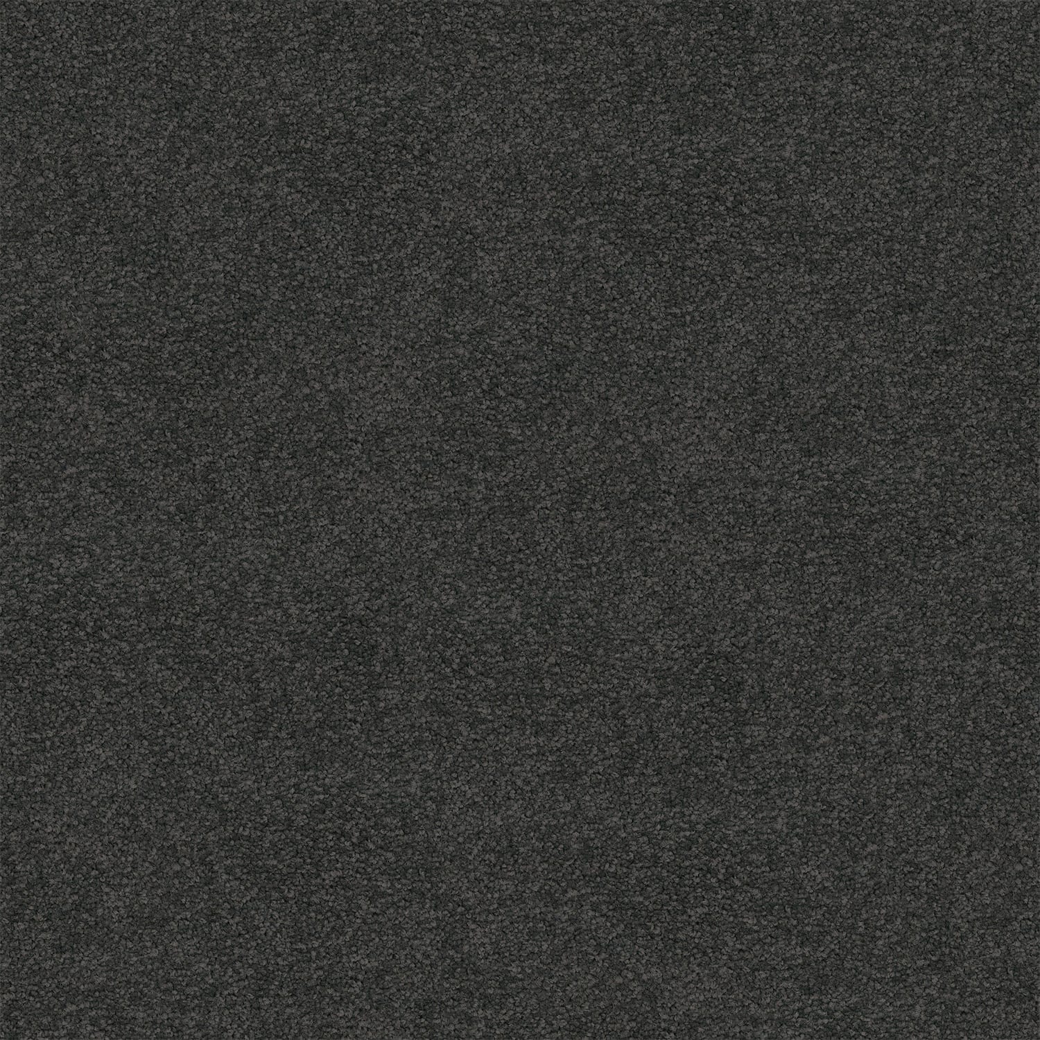 Riverina carpet in Warm Grey