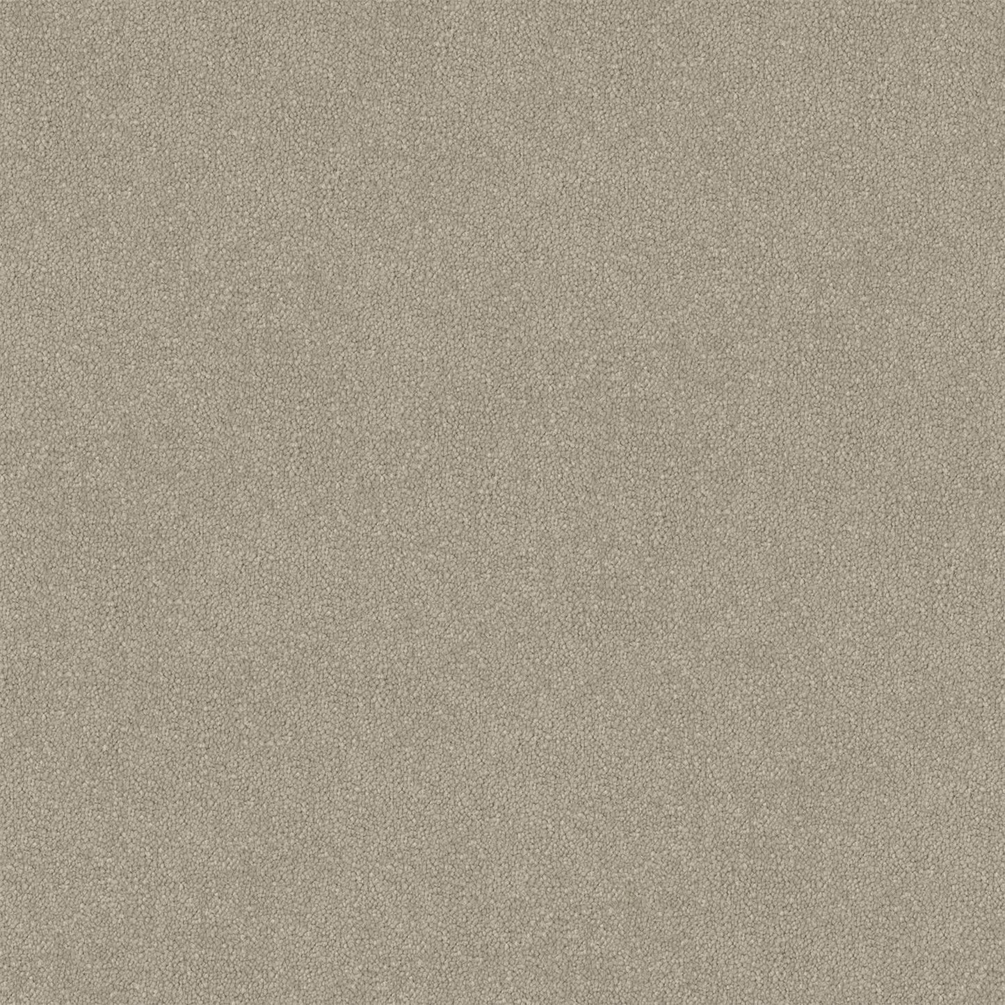 Armadale carpet in Light Clay