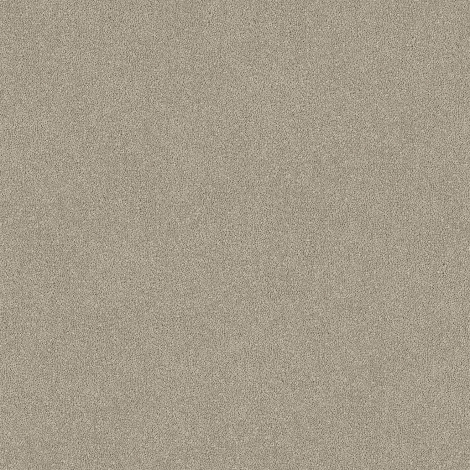 Armadale carpet in Light Clay
