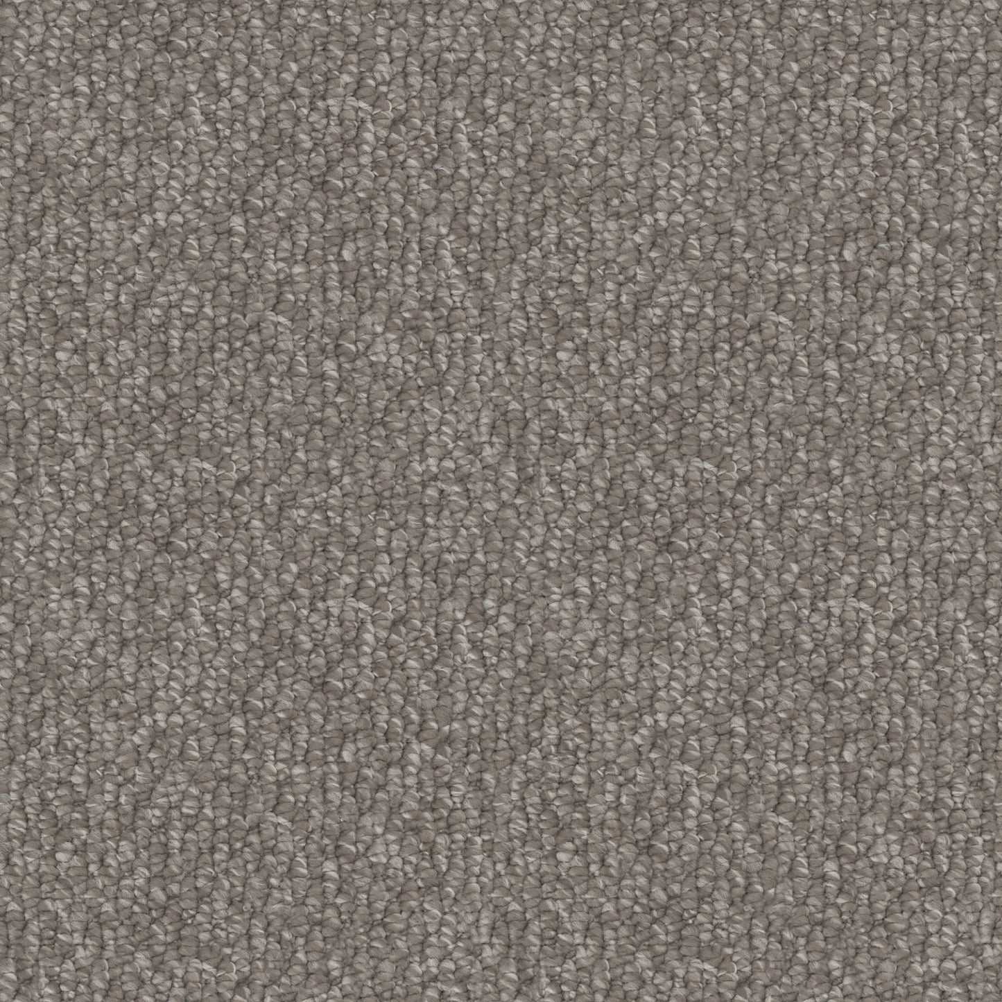 Cedarfield carpet in Dusty Fawn
