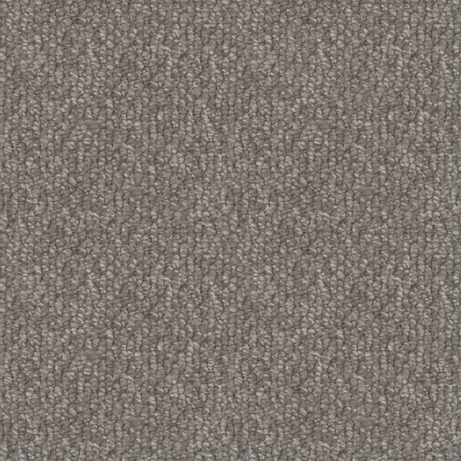 Cedarfield carpet in Dusty Fawn