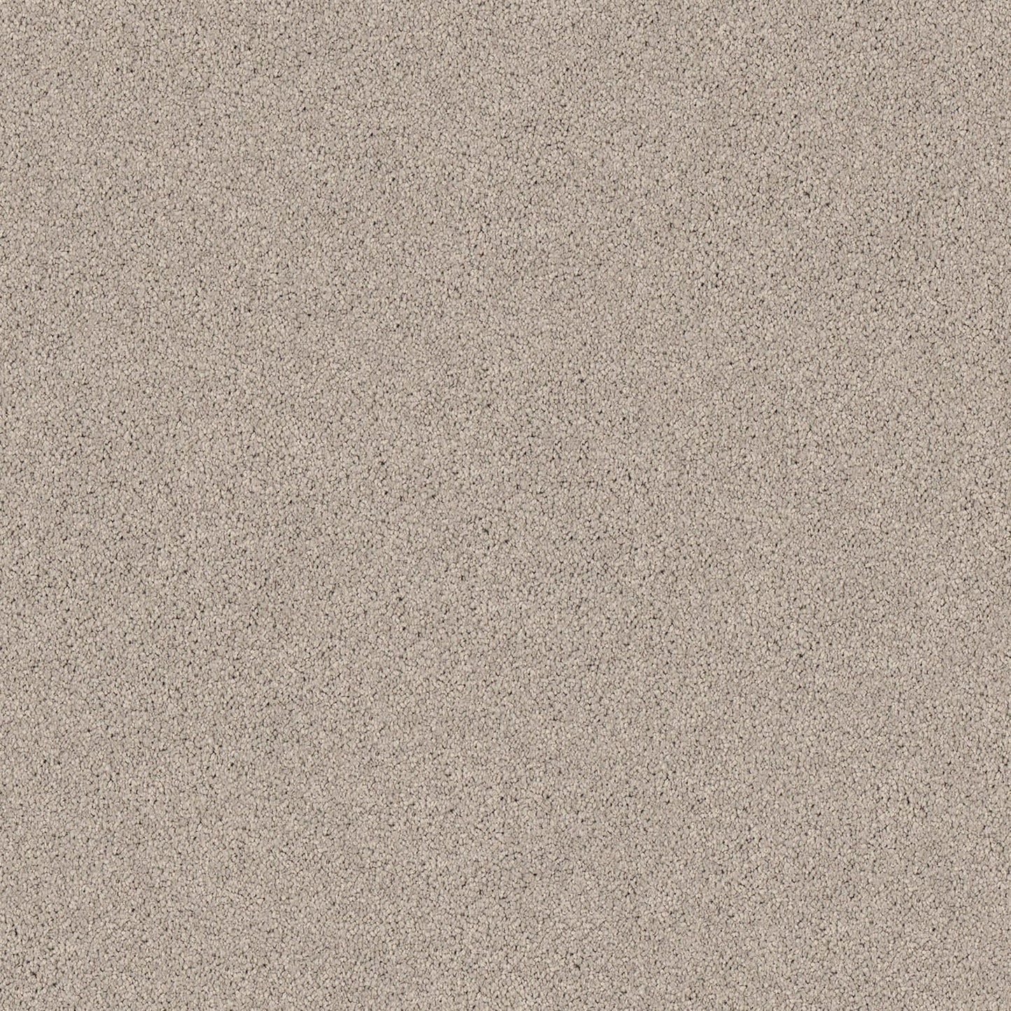 Gentle Essence carpet in Pebble Grey