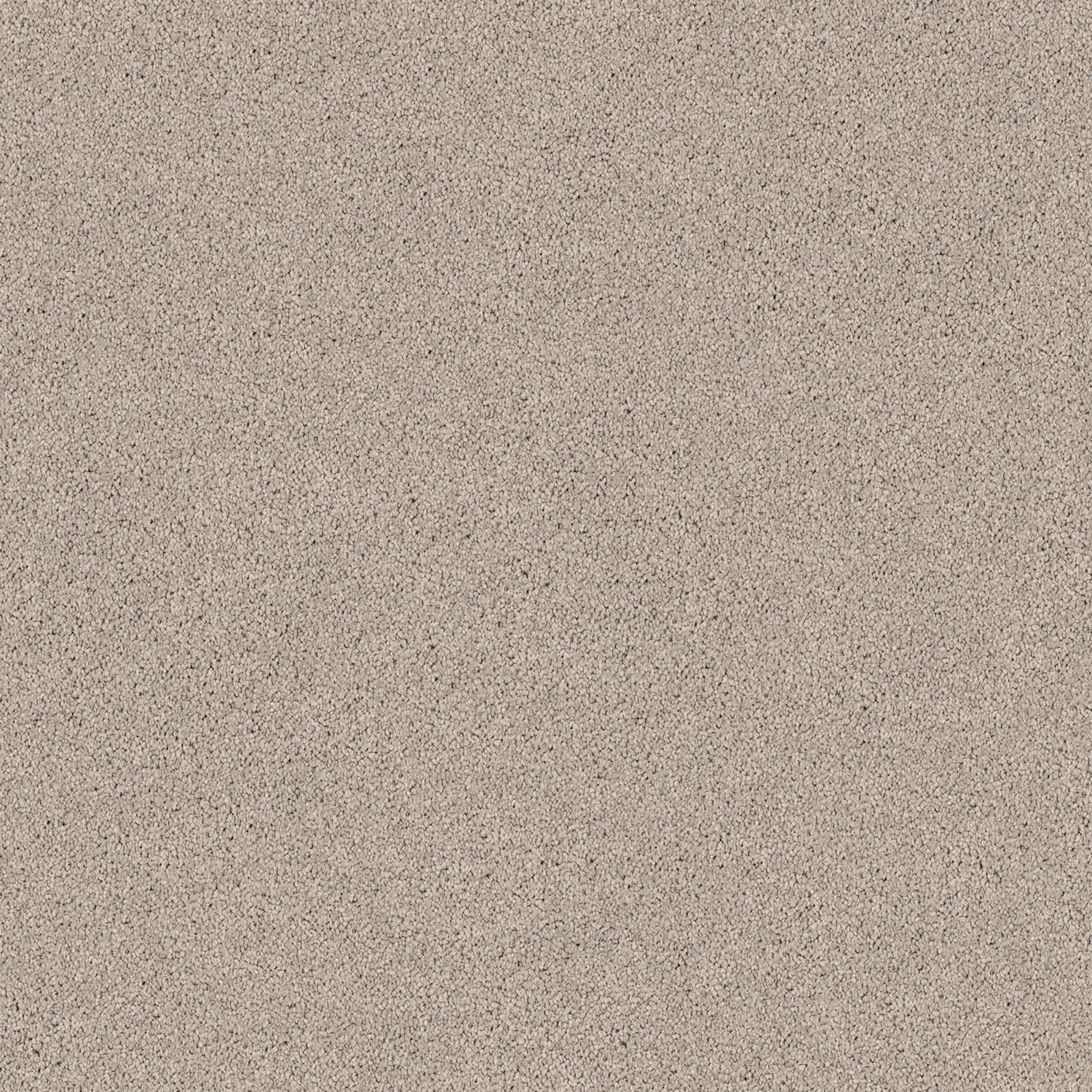 Gentle Essence carpet in Pebble Grey