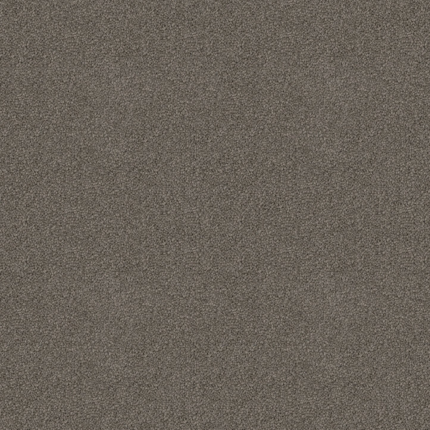 Crestview carpet in Whale Grey