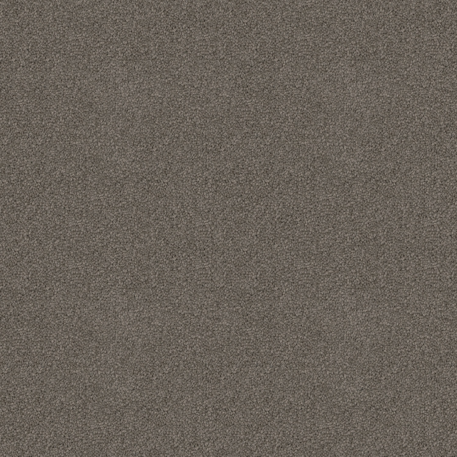Crestview carpet in Whale Grey