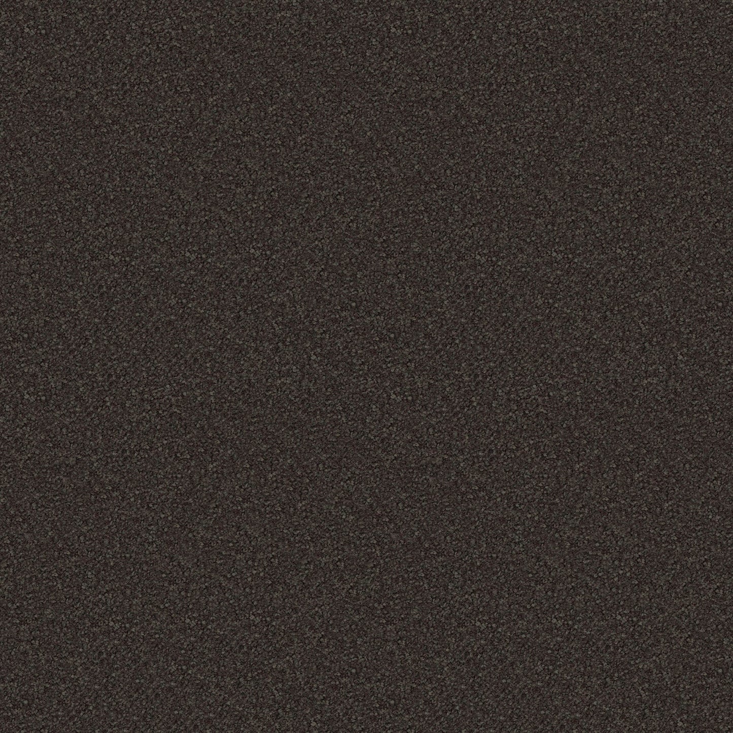Scenic View carpet in Boulder