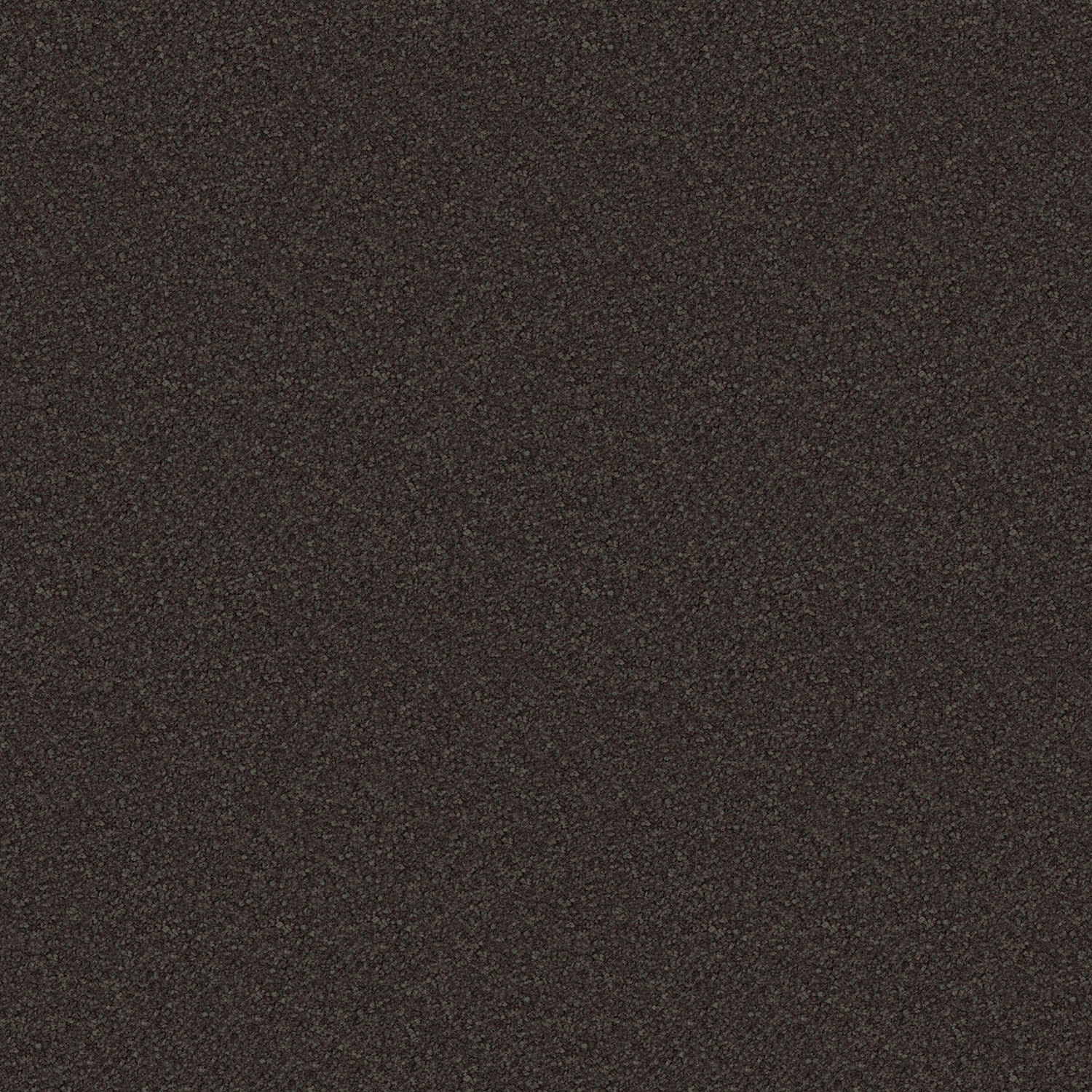 Scenic View carpet in Boulder