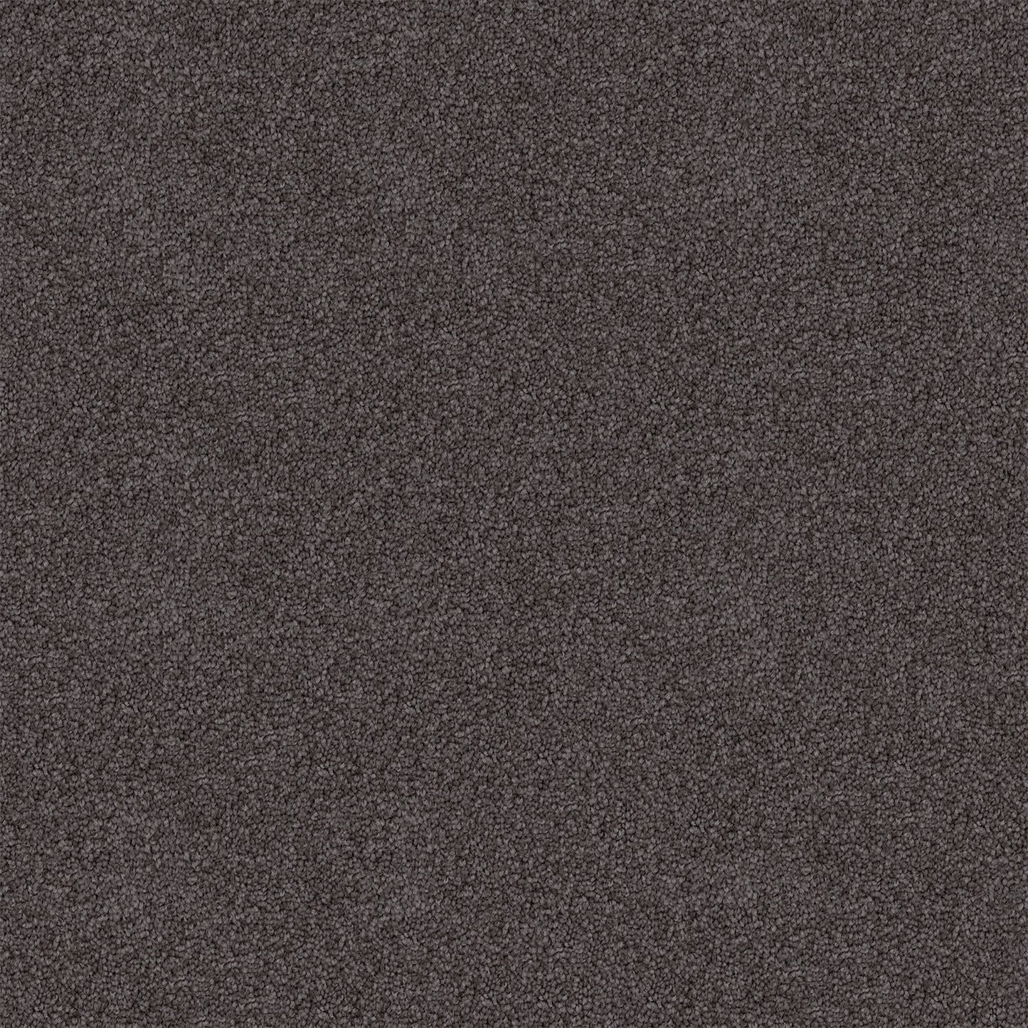 Endless Charm carpet in Woodstock Stipple