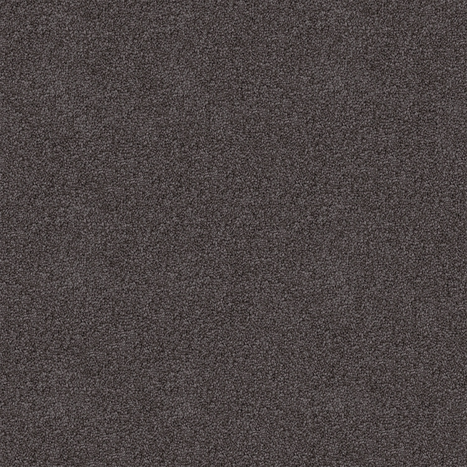 Endless Charm carpet in Woodstock Stipple