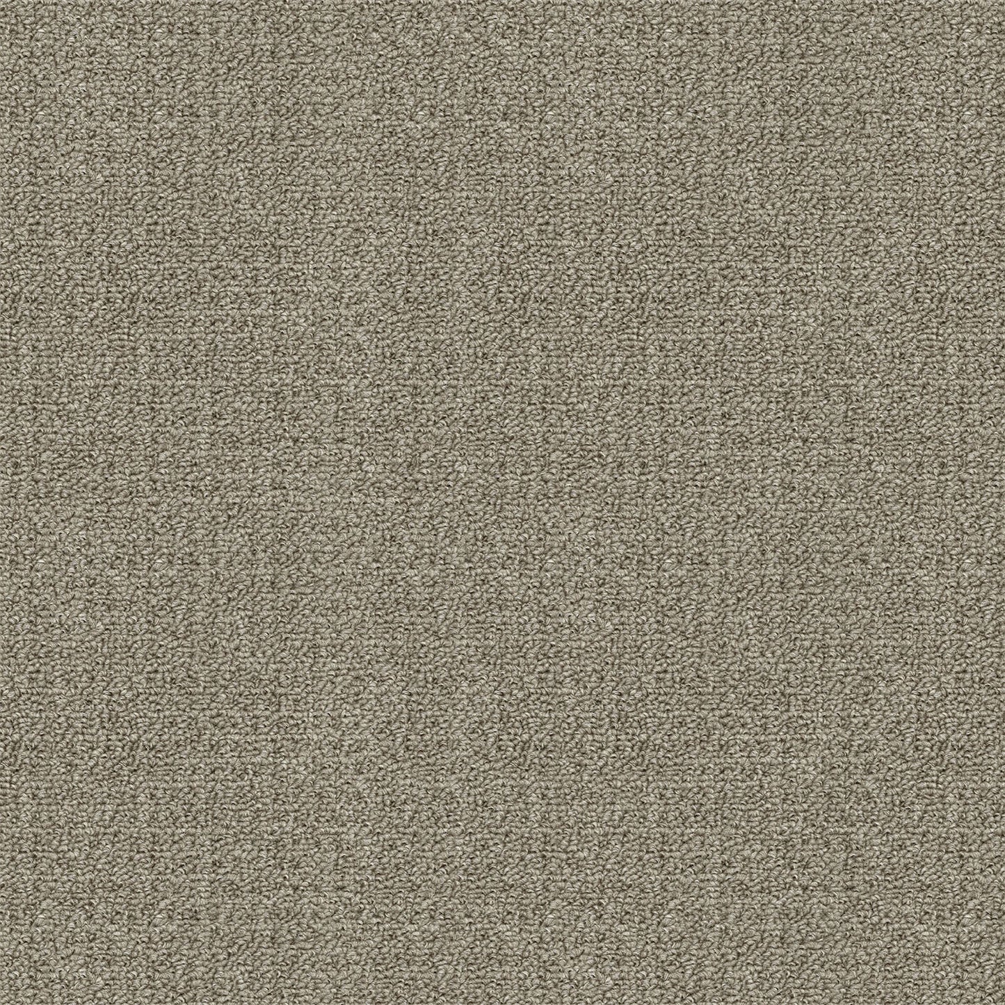 Revolution carpet in Desert Taupe