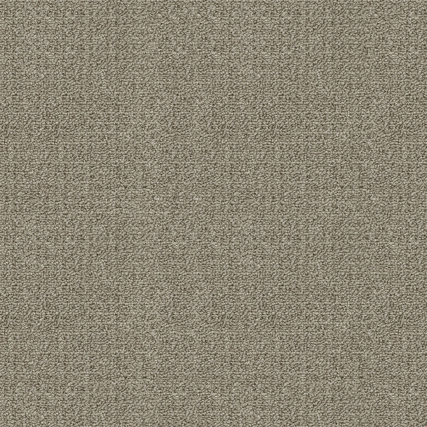 Revolution carpet in Desert Taupe