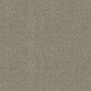 Revolution carpet in Desert Taupe