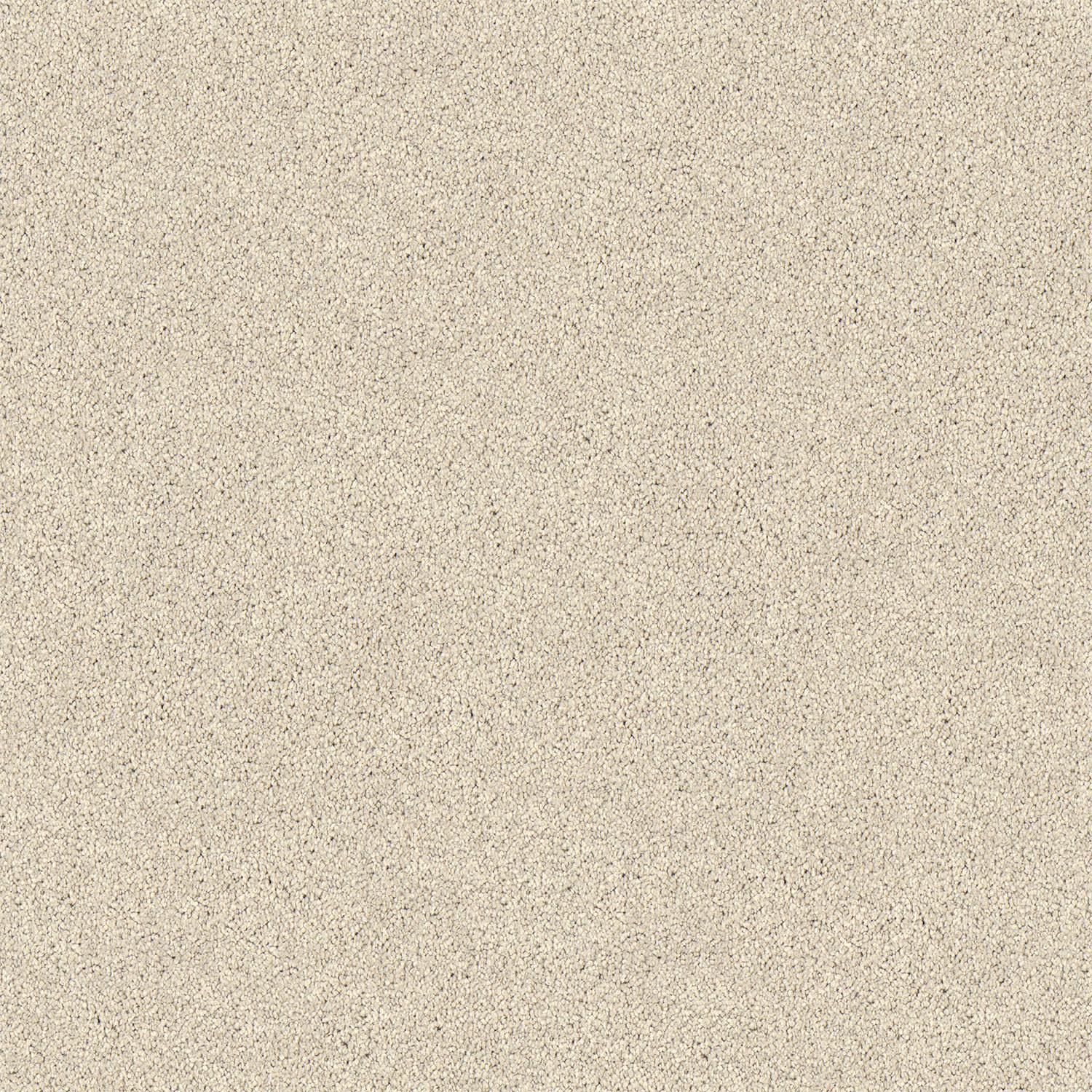 Regal Elegance carpet in Old Parchment