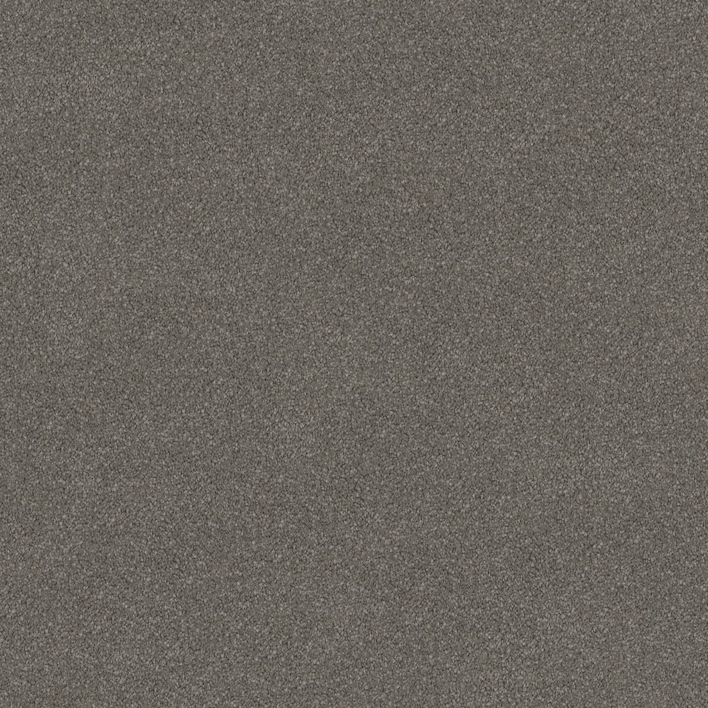 Wild River carpet in Whale Stipple