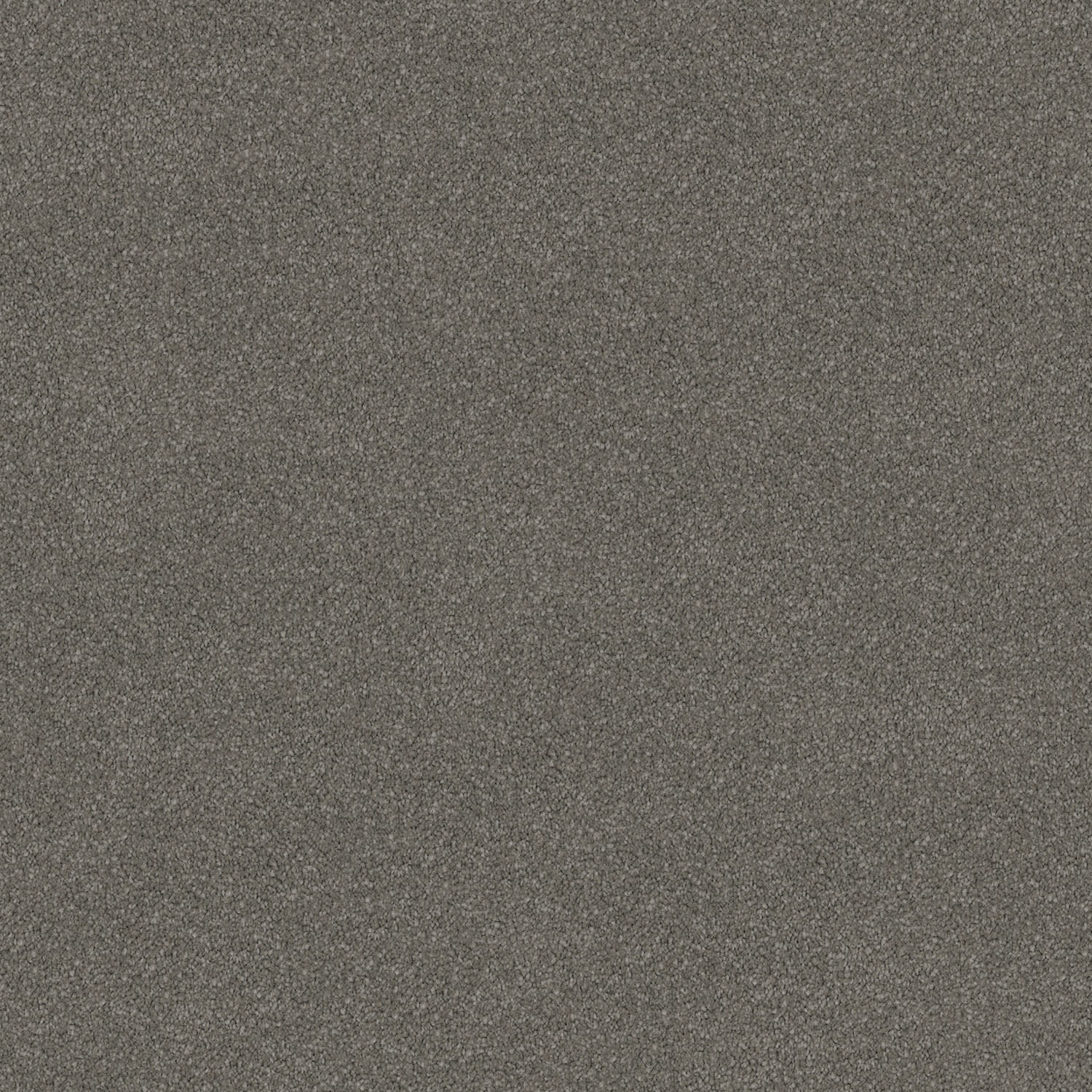 Wild River carpet in Whale Stipple
