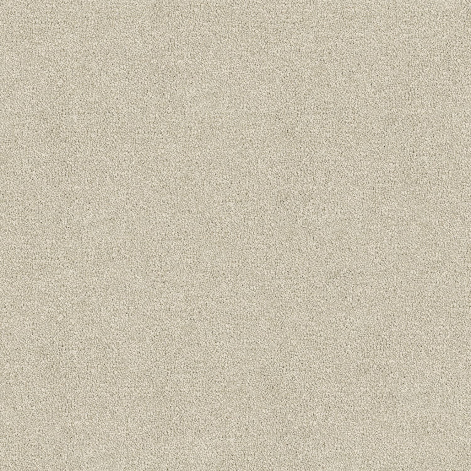 Tivoli carpet in Latte