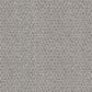 Central Valley carpet in Alpine Grey