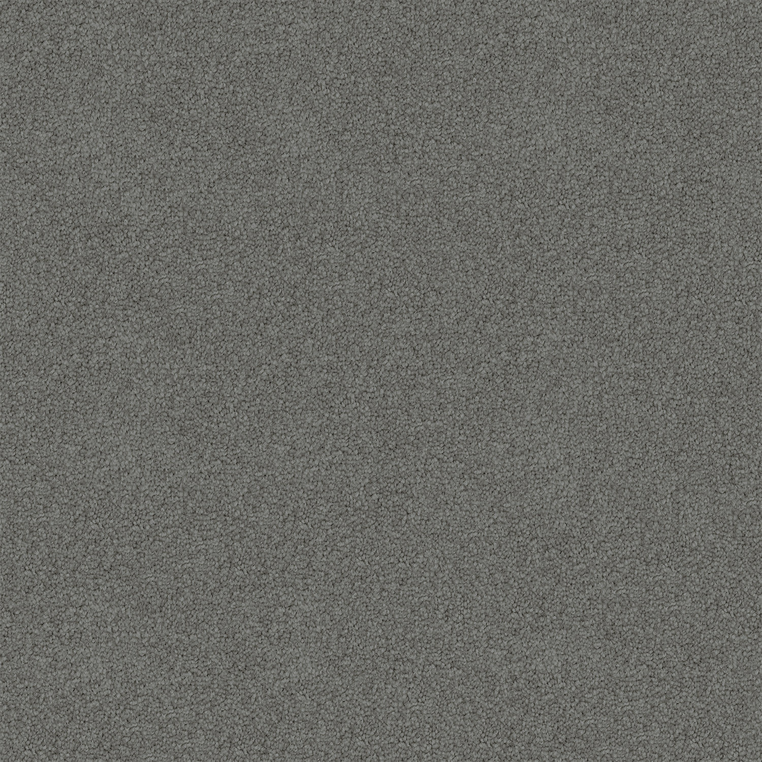Endless Charm carpet in Overcast