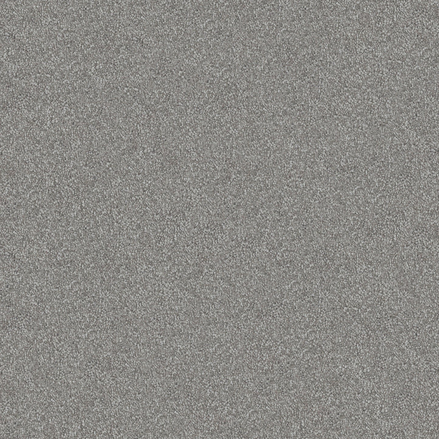 Velura carpet in Pewter Cup