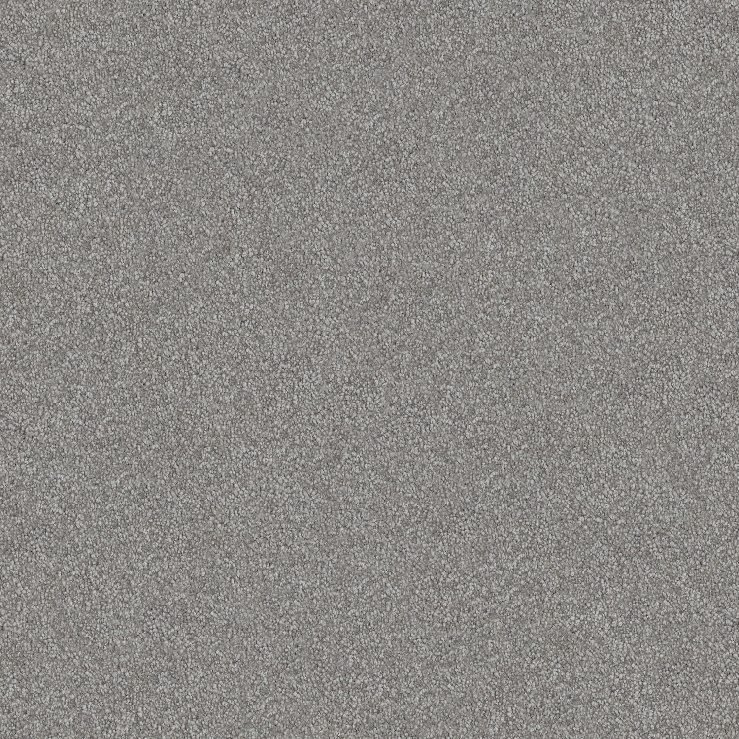 Velura carpet in Pewter Cup