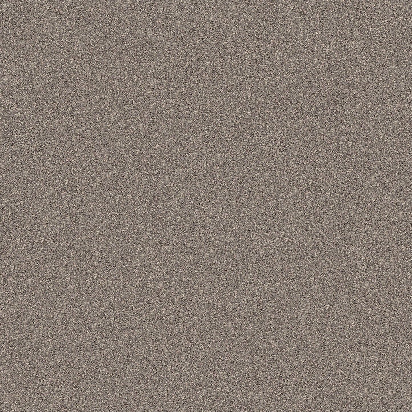 Regal Elegance carpet in Applewood