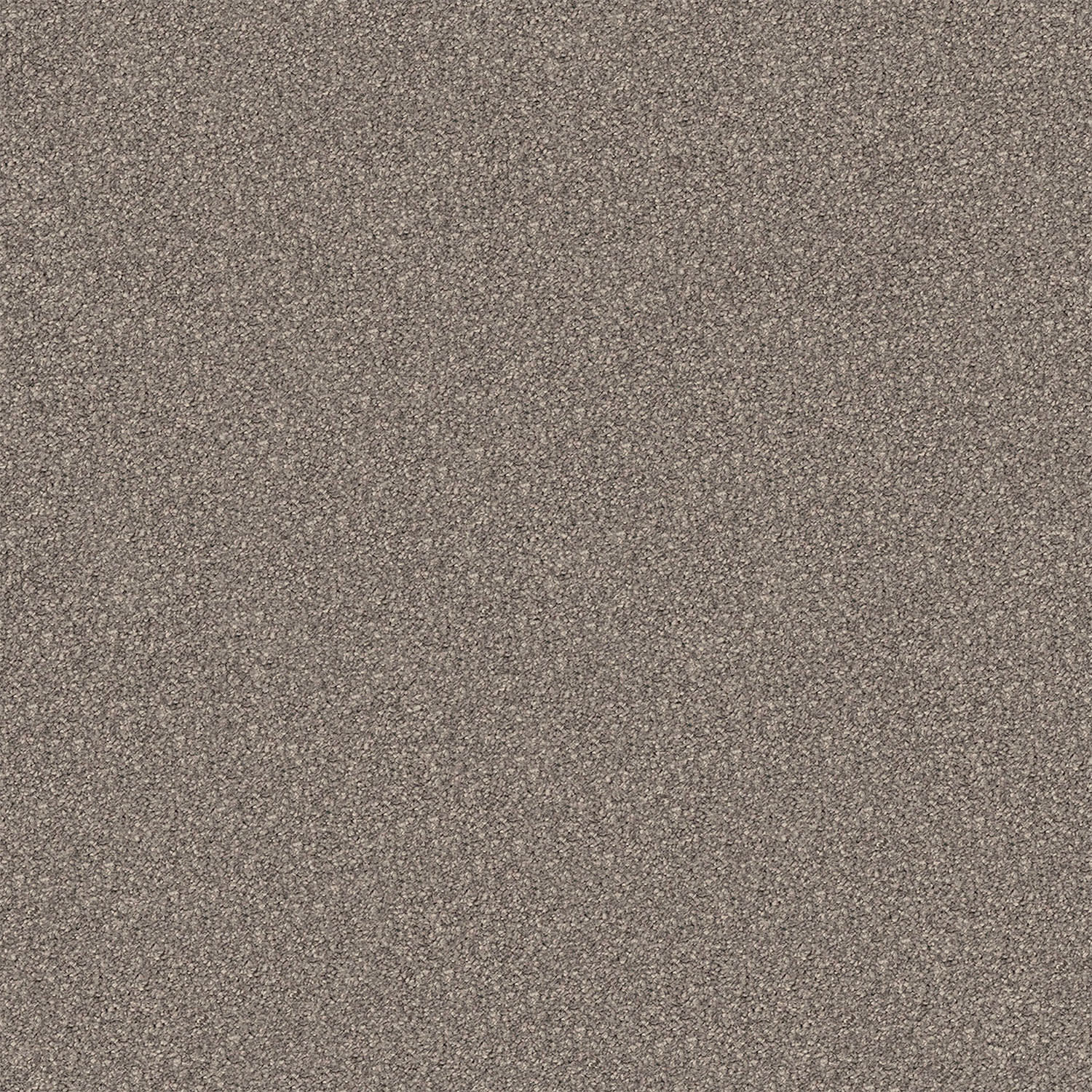 Regal Elegance carpet in Applewood