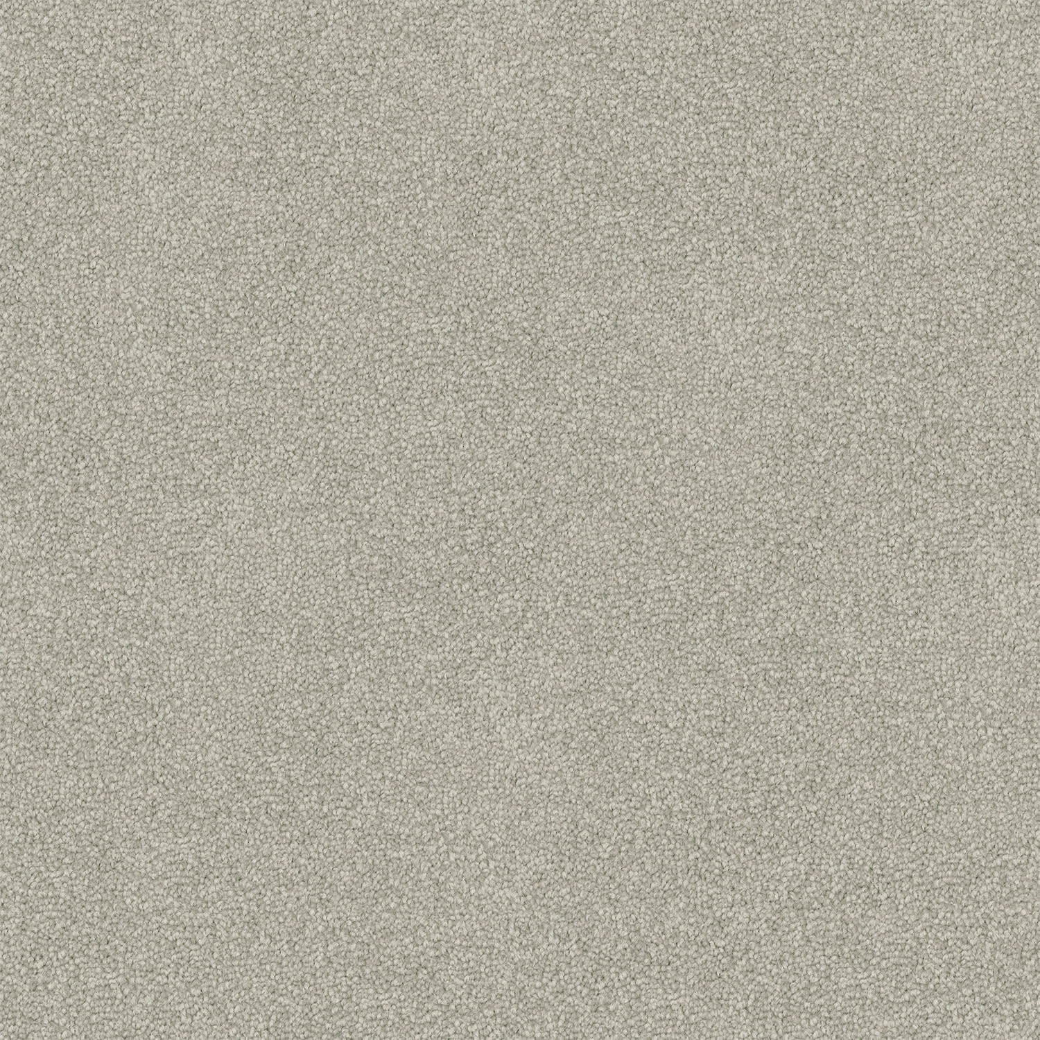 Freedom carpet in Dappled Grey