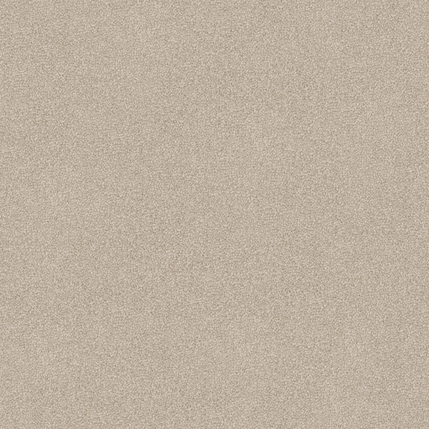 Entertaining carpet in Chamois