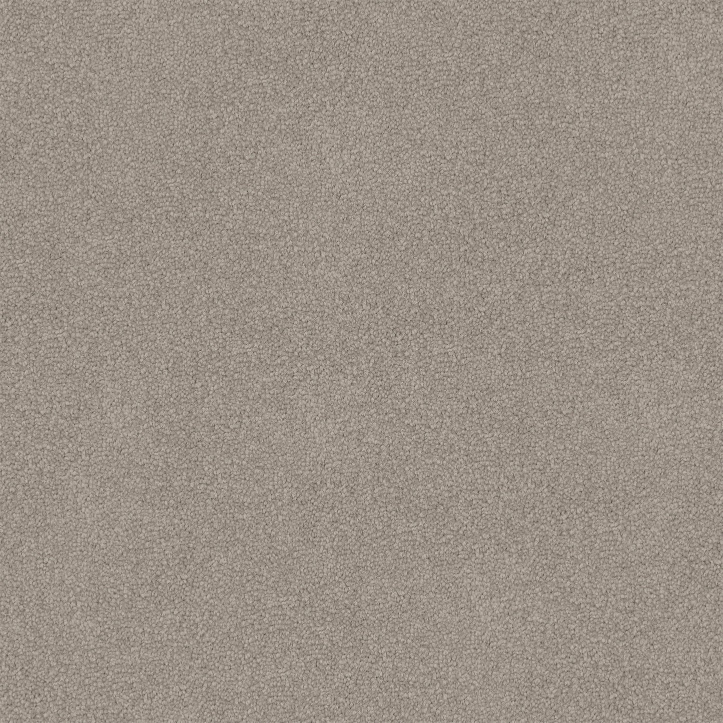Infatuation carpet in Dusty Grey