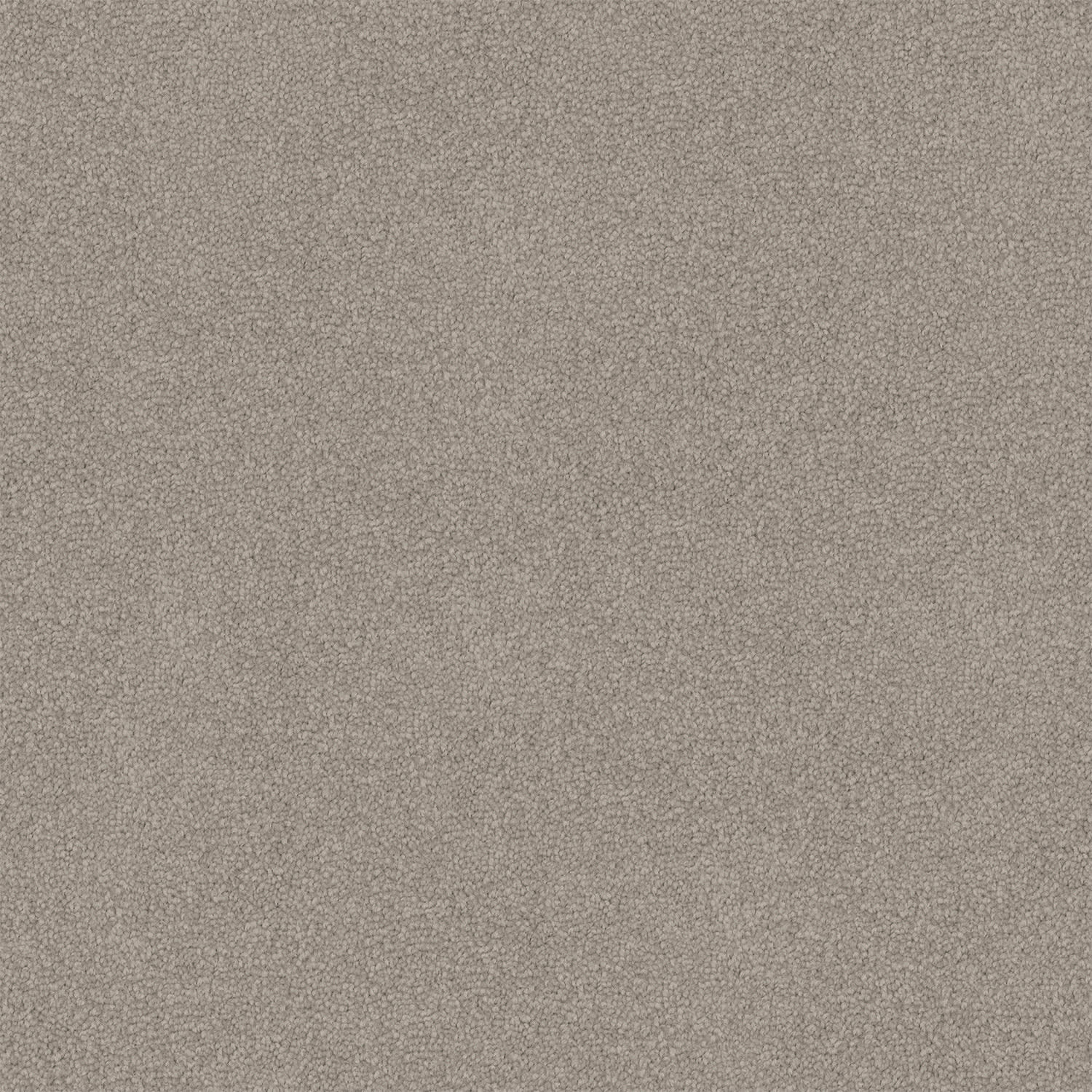 Infatuation carpet in Dusty Grey