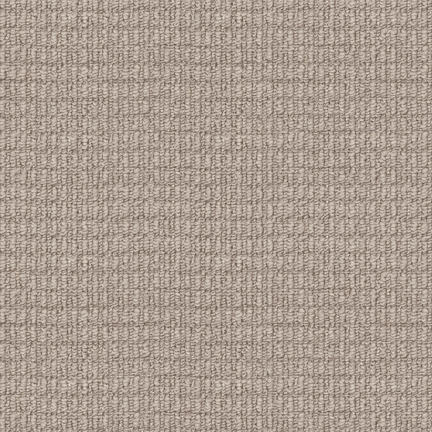 Riverbed carpet in Dust Storm