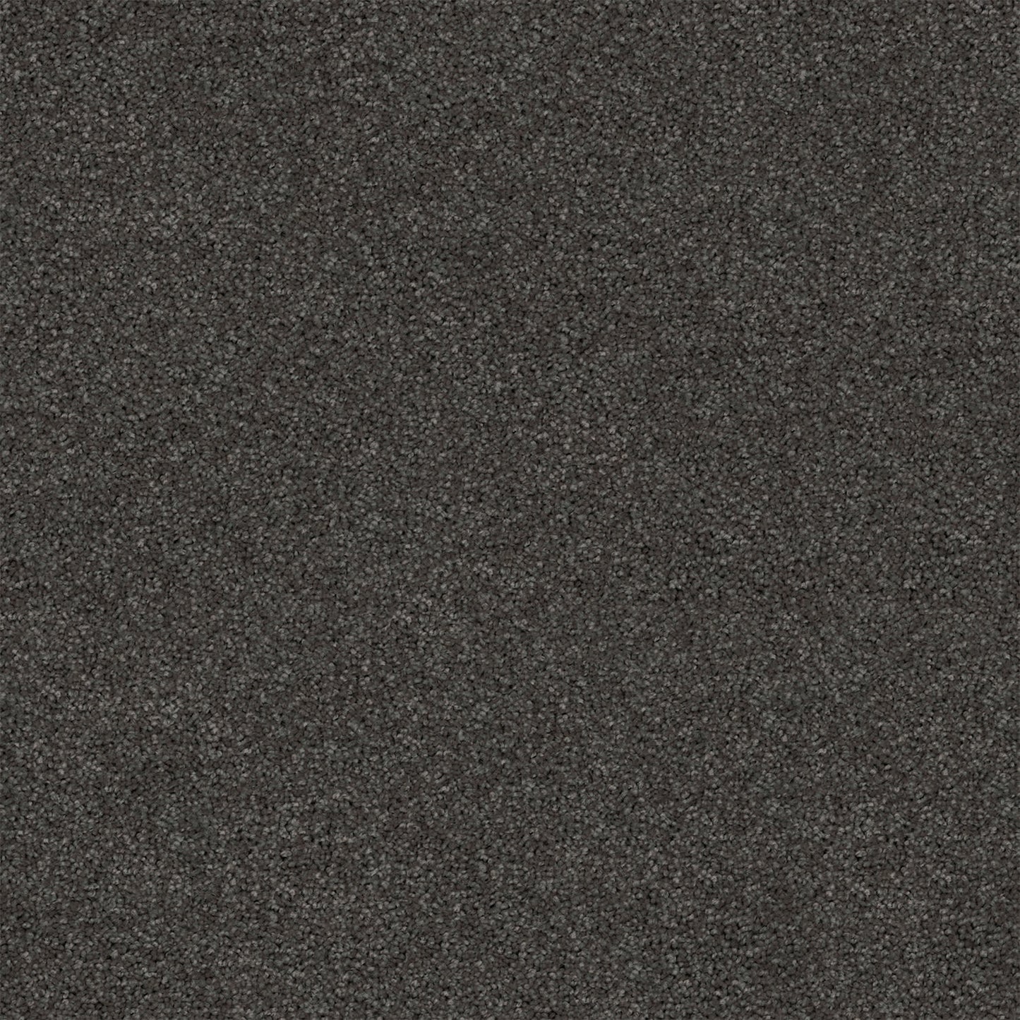 Revive carpet in Tornado