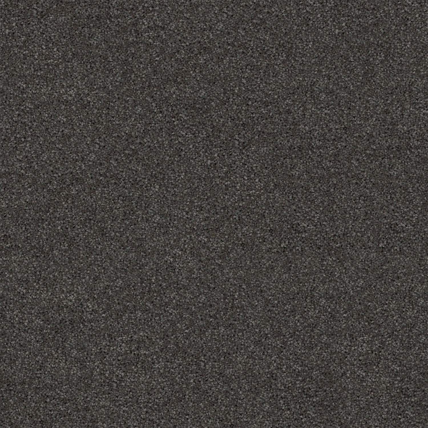Revive carpet in Tornado