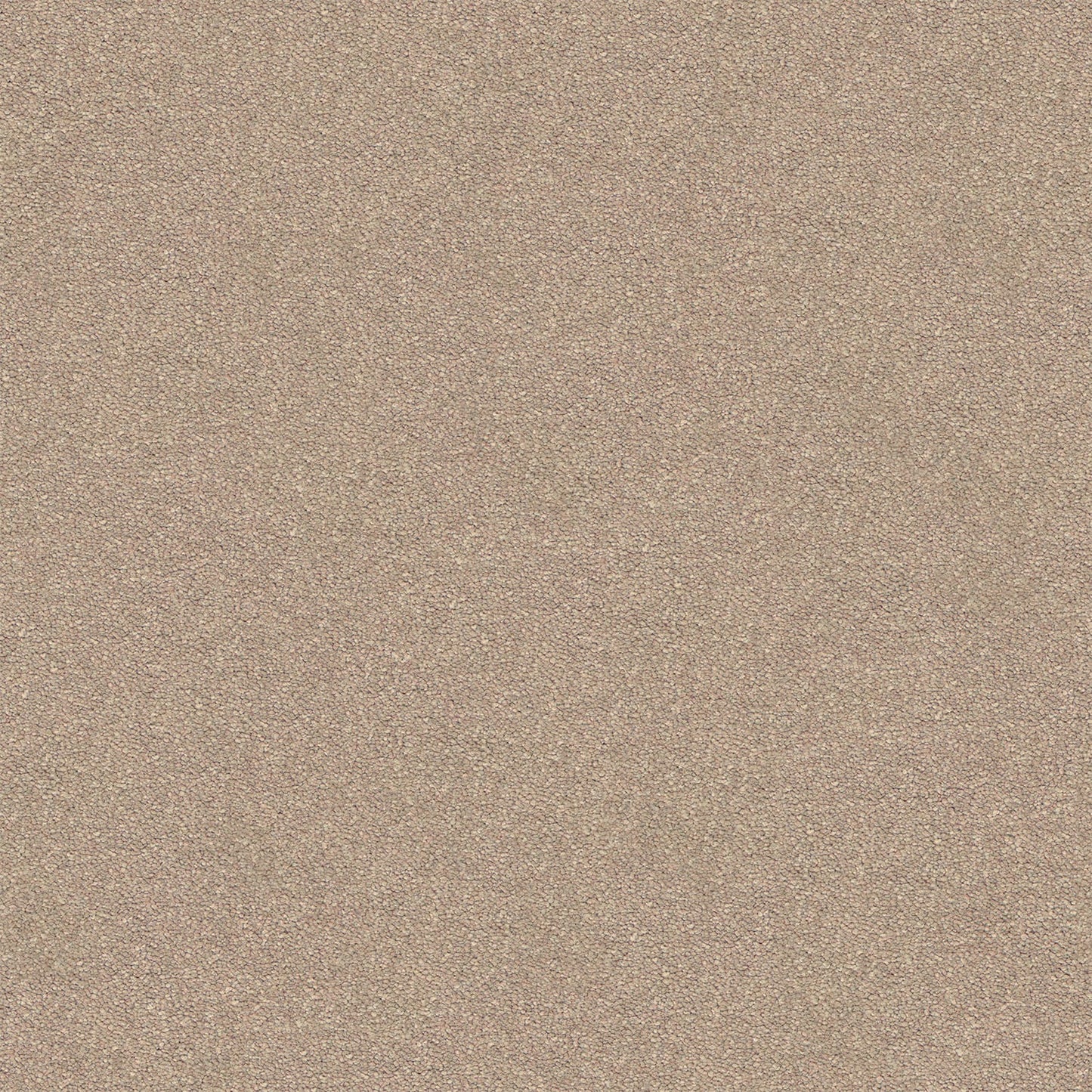 Dream Shadows carpet in Yardbird