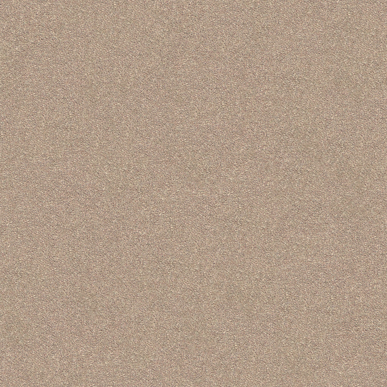 Dream Shadows carpet in Yardbird