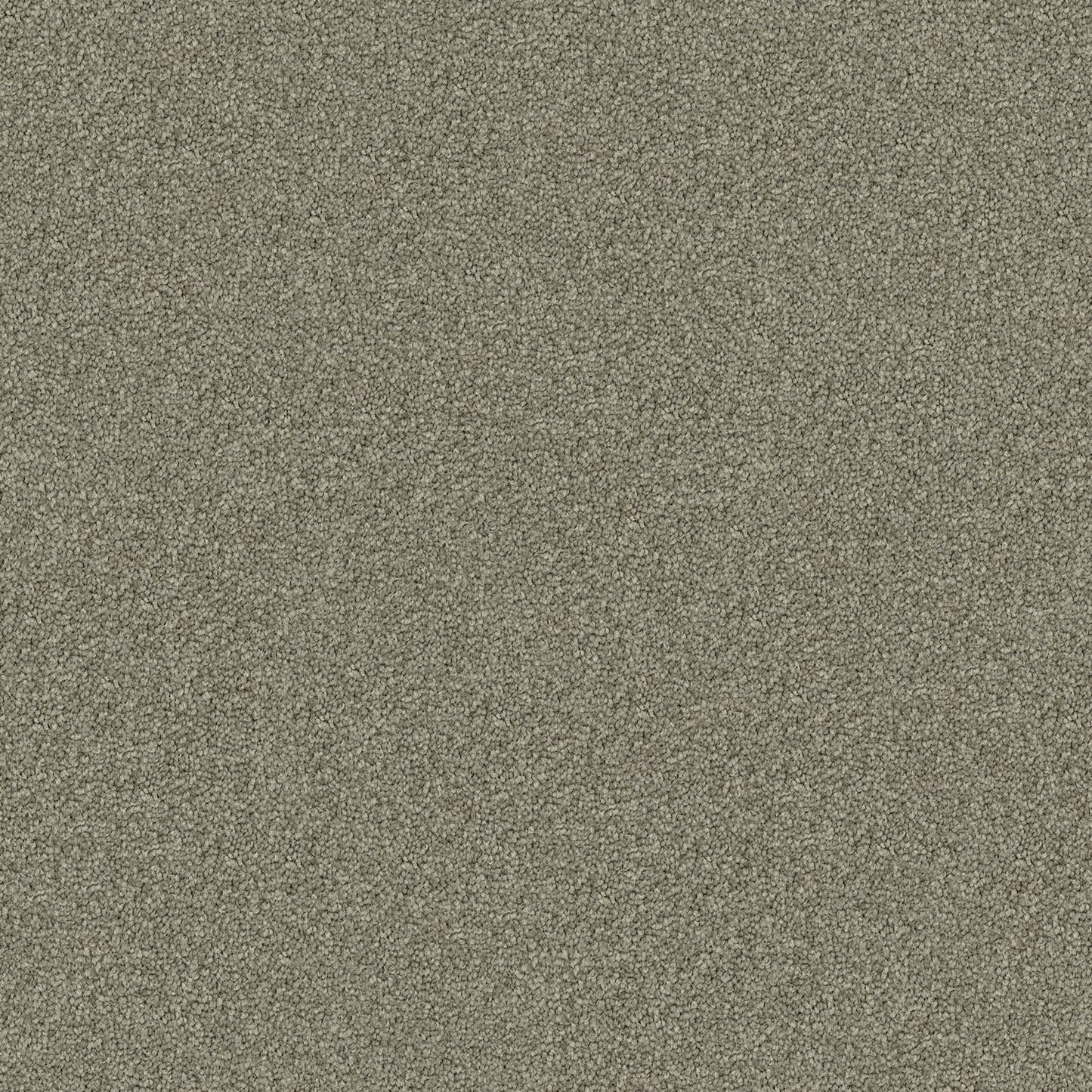 Domain Rise carpet in Smoke Haze